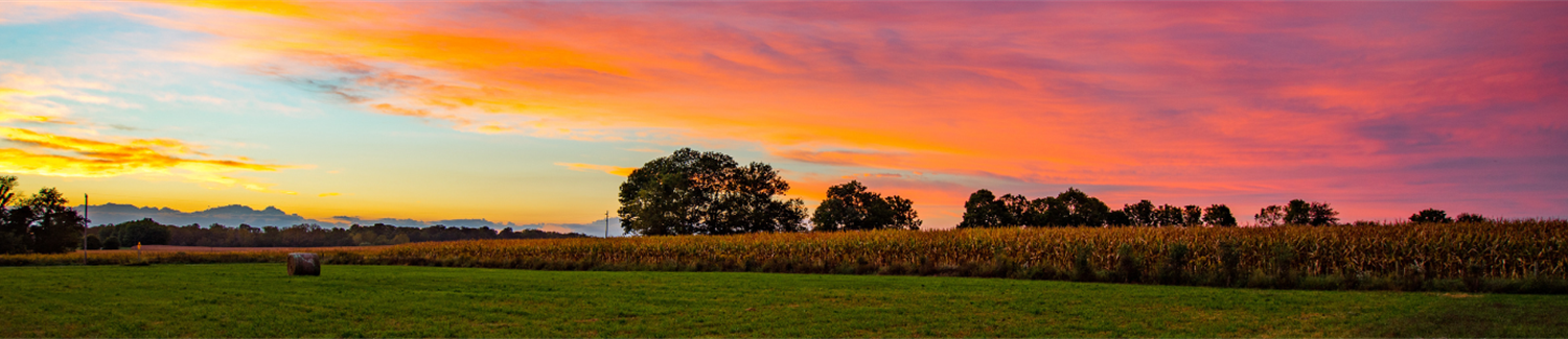 Gold Quill Spotlight: Helping Farmers Look Up and Live